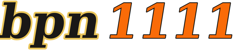 bpn1111 logo